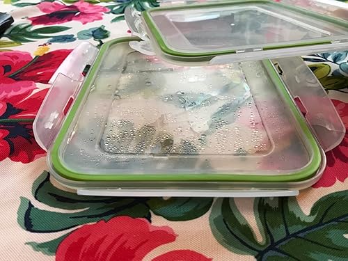 Customer photo showing large capacity glass container with meal prep