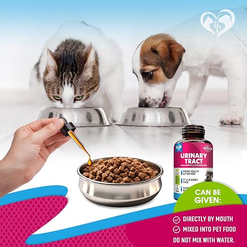 Beloved Pets UTI drops being given by mouth and mixed into a pet food bowl