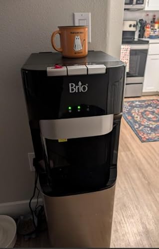 Detail of the Brio dispenser cabinet door