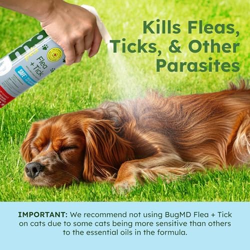 BugMD Flea and Tick spray being applied to a dog relaxing in the grass