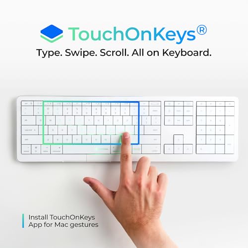 RGB backlighting and touch slider controls on the CLVX 1 keyboard