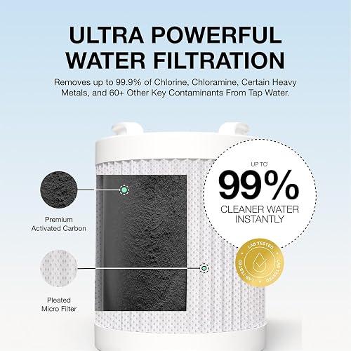 The Filterbaby Titanium Shower Filter Pro shown with its refill cartridge