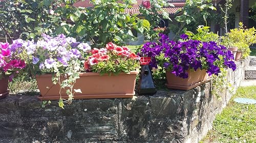 Grandpa Gus's Mosquito Trap placed outdoors beside potted flowers on a garden wall