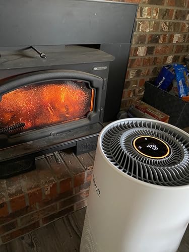 Customer demonstrating Levoit LV-H135 control panel features