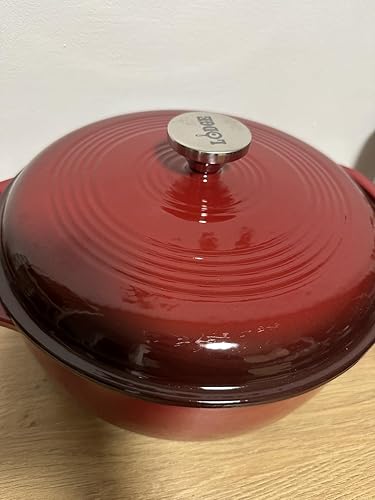 Close-up of Lodge Dutch Oven lid