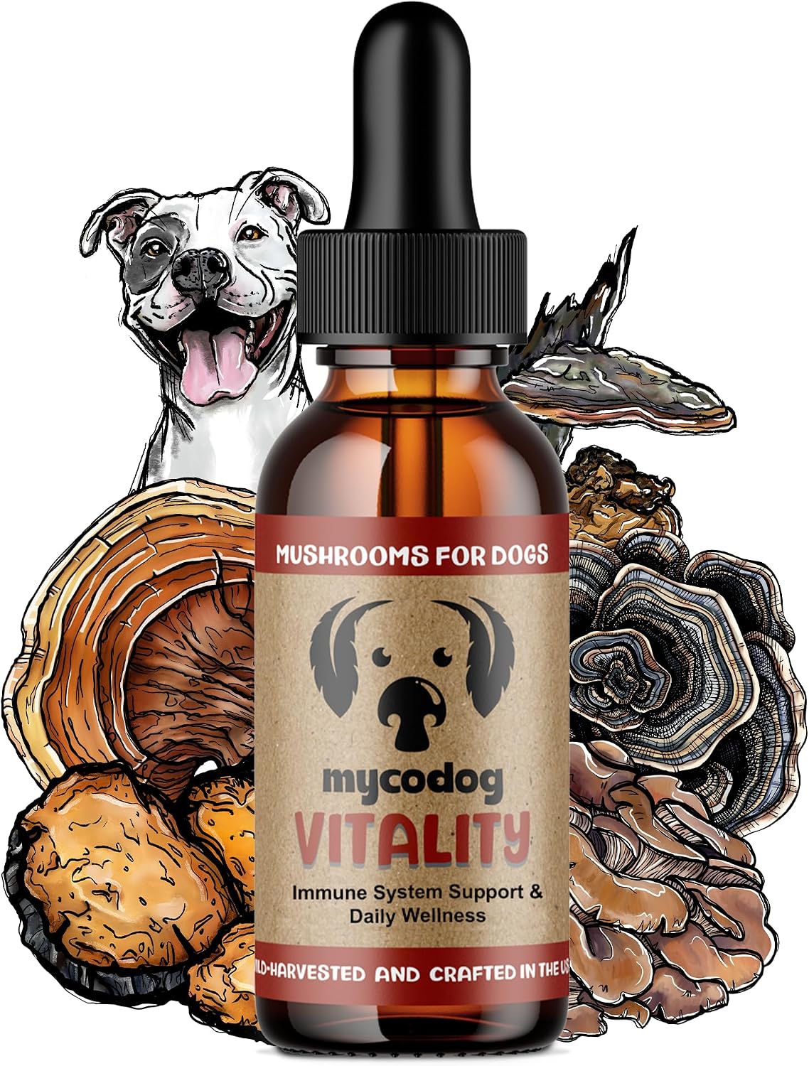 MycoDog Vitality Mushroom Supplement Review: Is This Senior Dog Tincture Worth It?
