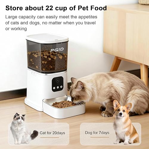 The PGID feeder's see-through 5L tank holds about 22 cups of dry food, enough for roughly 20 days for a cat
