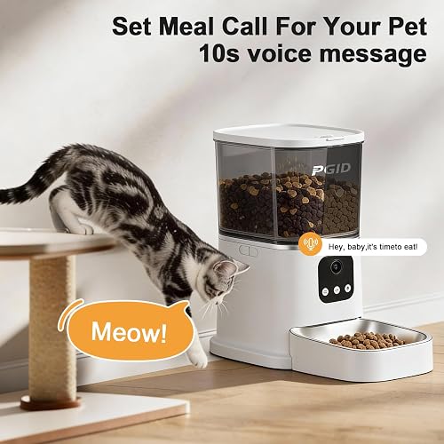 The PGID automatic cat feeder plays a recorded 10-second meal call to bring your pet to the bowl