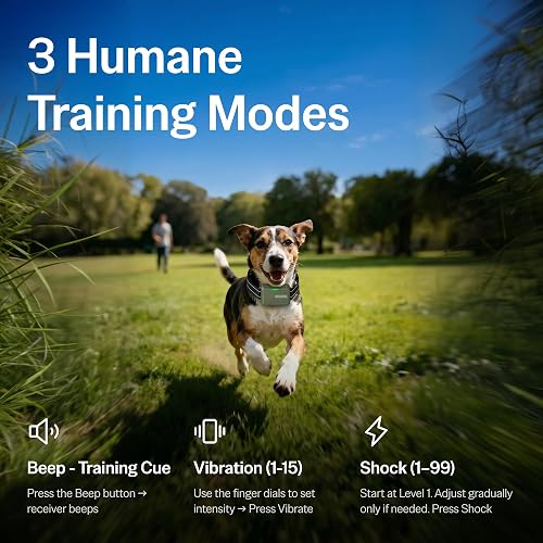 SafeShock dog training collar receiver and remote from a customer photo